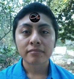 A person wearing a blue shirt stands outdoors with a serene expression. A symbol resembling two connected fish with stylized lines is overlayed on their forehead, representing a celestial constellation from the Mazzaroth array.