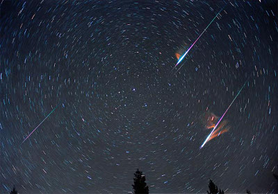 Long exposure photograph capturing the circular star trails centered around the North Star, with two bright meteors crossing the sky, above silhouetted pine trees against a night sky.