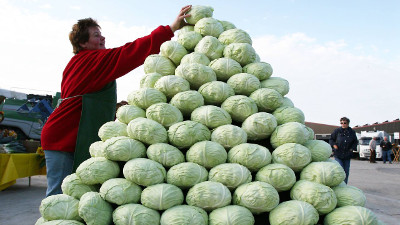 A person in a red sweater carefully adjusts a pyramid-shaped stack of numerous green cabbages at an outdoor market, under an open sky.