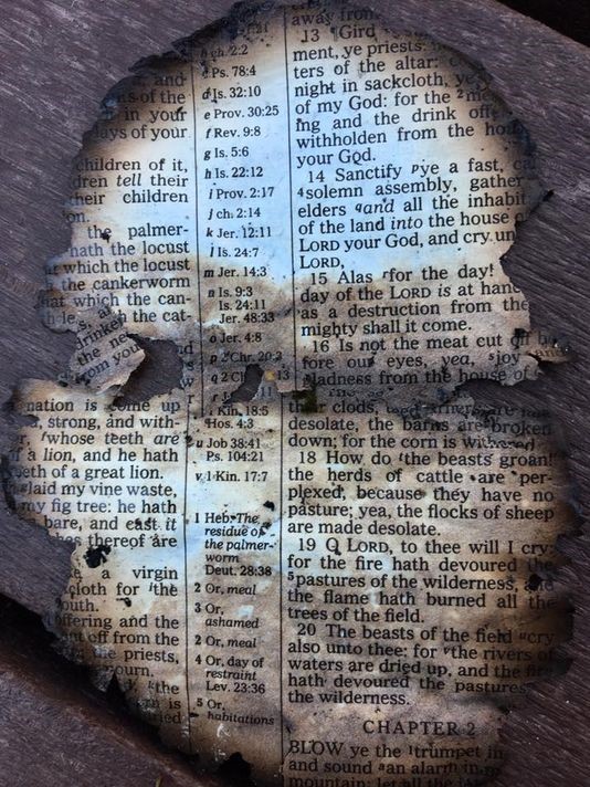 A close-up image of a burnt, tattered Bible page, with readable text including various chapters and verses. The paper is set against a dark, stony background, highlighting the wear and historic nature of the document.