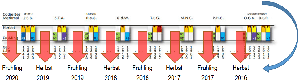 Diagramm zeigt einen Zeitstrahl mit zyklischen Perioden, gekennzeichnet durch die Jahre 2016 bis 2020. Es werden Wechsel zwischen den Abschnitten Frühling und Herbst dargestellt, mit großen roten Pfeilen, die auf spezifische Bereiche in jedem Zyklus hinweisen.