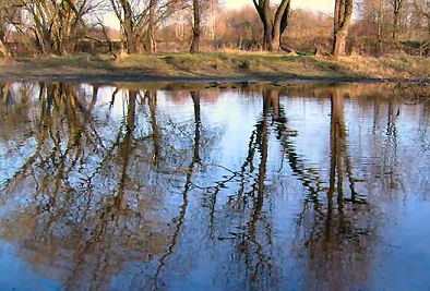 A tranquil river scene reflecting bare trees under a clear blue sky in early winter, illustrating the serene beauty of nature resembling the peacefulness described in Psalms.