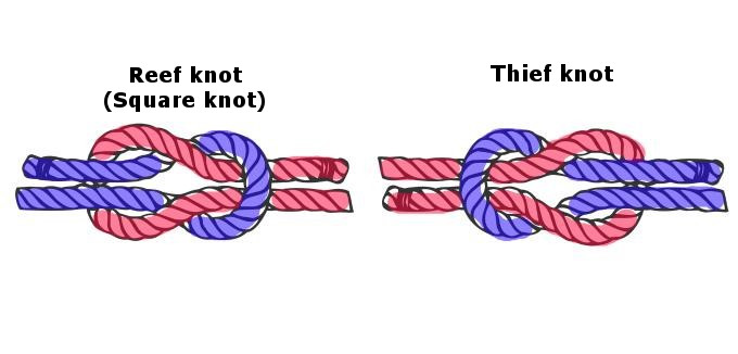 Illustration of two different types of knots using red and blue striped ropes. On the left is the Reef knot, also known as the Square knot, and on the right is the Thief knot.