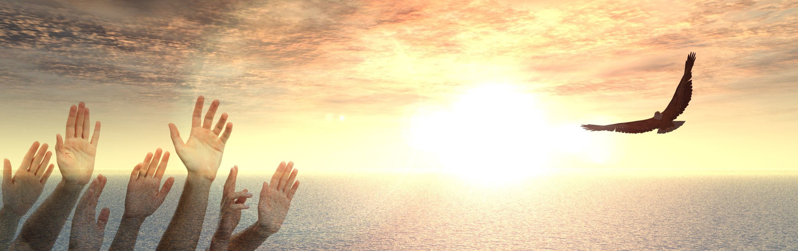 A serene scene showing multiple hands raised towards the celestial sky as a majestic eagle soars above a gentle sea under an expansive sunrise, depicting a moment of awe or supplication towards the wonders of creation.