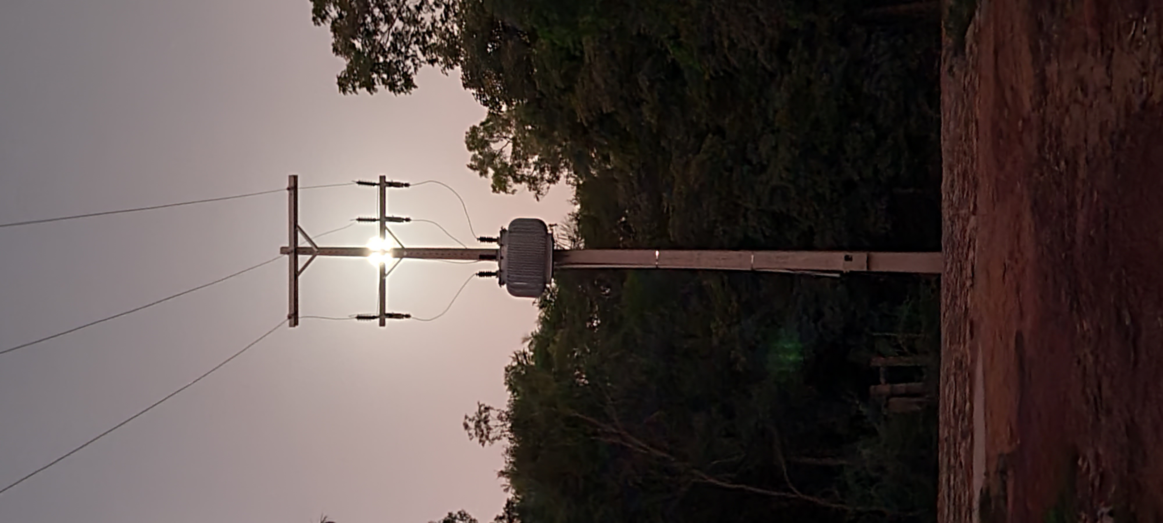 A vertical image featuring an electrical utility pole at dusk. The pole, centered in the frame, is silhouetted against a fading sky, lit by a bright sun directly aligned with the crossarms. Surrounding the pole, a dense thicket of green foliage contrasts with sky’s gradient hues.