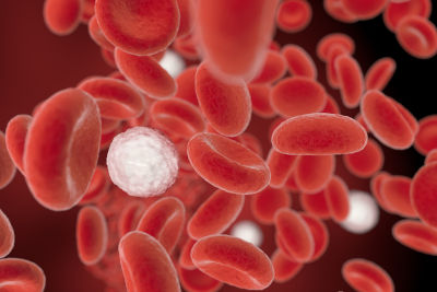 Close-up view of numerous red blood cells with a prominent white cell in the center, set against a dark background.