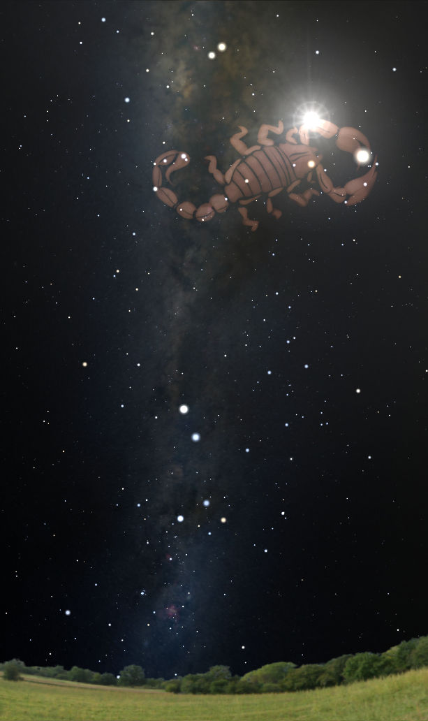 A night sky filled with stars and a luminous nebula, viewed from a grassy field. Overlaying this celestial scene is an artistic depiction of a scorpion, aligned with bright stars to form its outline, which is a creative representation of one of the Mazzaroth constellations.