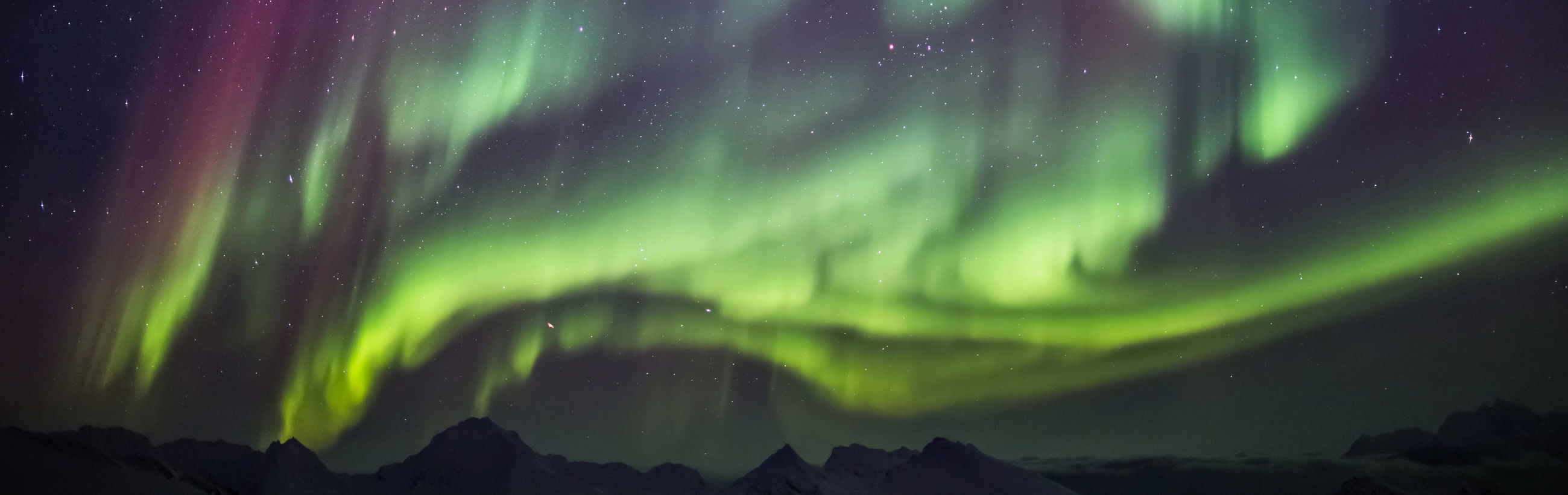 A panoramic view of an aurora displaying a mesmerizing spectrum of green and pink lights across the night sky, contrasted by the dark silhouettes of mountains below.