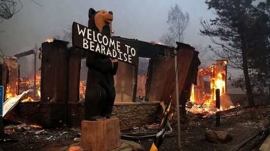 A wooden bear statue holds a sign that reads "Welcome to Bearadise" in front of the remnants of a burned structure with flames still visible. This scene, captured at dusk, evokes a stark contrast between the whimsical sign and the devastation around it.