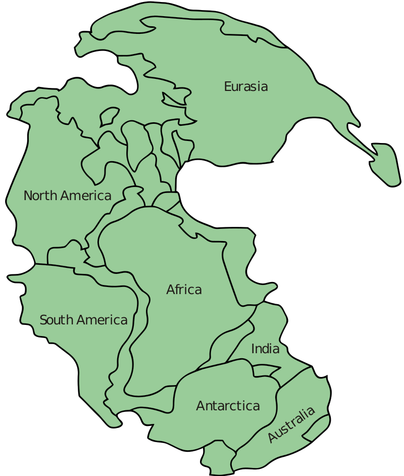 A simplified, stylized map showing the major landmasses of the world, including North America, South America, Africa, Eurasia, India, Antarctica, and Australia. Each continent is labeled and distinguished by different shades of green, with a black background surrounding the shapes.