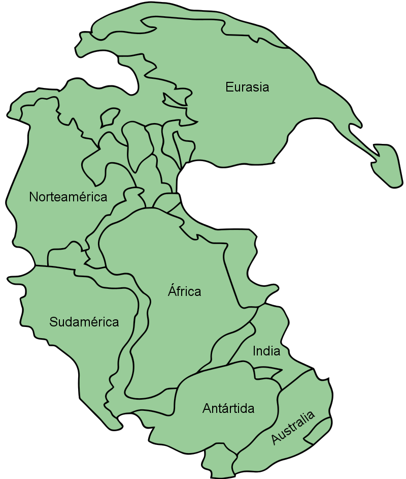 Ilustración simple en tonos verdes y negros de un mapa del mundo estilizado, mostrando los continentes con nombres como Eurasia, Norteamérica, Sudamérica, África, India, Antártida y Australia.