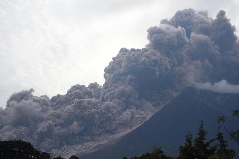 Una erupción volcánica con enormes nubes de ceniza que emergen del cono de una montaña, oscureciendo gran parte del cielo. Se ven árboles en primer plano, lo que realza la magnitud del evento geológico.
