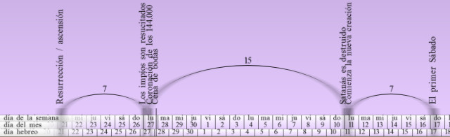 Gráfico en tonos lilas con línea temporal que ilustra eventos clave sobre un fondo con números que representan días del mes y días de la semana. Incluye términos como "Resurrección", "ascensión" y "sábado" y muestra conectores numéricos que indican la duración de ciertos períodos.