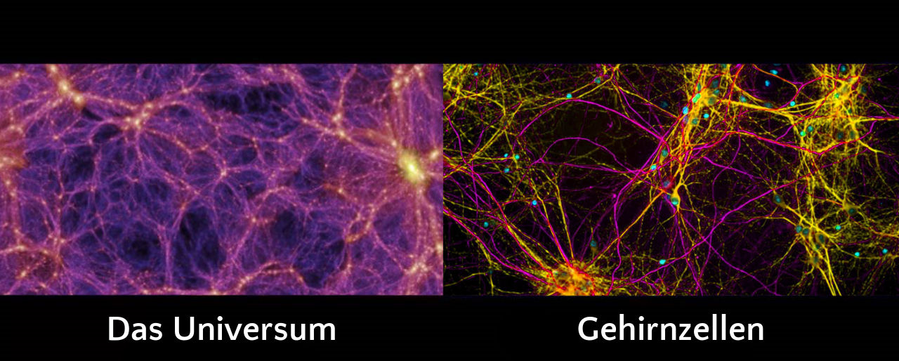 Links zeigt sich eine kosmische Struktur, ähnlich den Mazzaroth, in leuchtenden Lilatönen mit goldenen Knotenpunkten, die die Komplexität des Universums veranschaulichen. Rechts ist eine fluoreszierend bunte Darstellung von Neuronen im menschlichen Gehirn zu sehen, die miteinander durch zahlreiche farbige Verbindungen geknüpft sind.