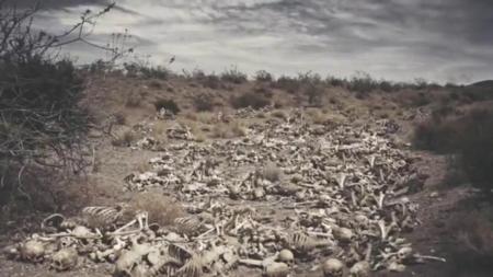 A desolate landscape filled with scattered animal bones under a cloudy sky, reminiscent of the harsh realities of nature and the cycle of life and death.