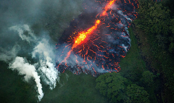 Aerial view of a vibrant volcanic eruption with molten lava flowing into a dense forest area. Smoke and steam rise from the contact points where fire meets flora.