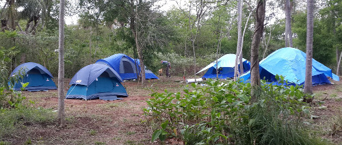 A cluster of blue camping tents nestled among green shrubs and trees in a woodland setting, possibly a site for studying the celestial bodies.