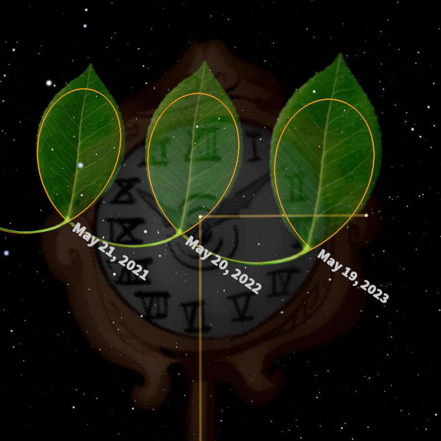 Illustration of three vibrant green leaves overlaying a circular chart engraved with ancient symbols, set against a starry night background. Each leaf is marked with a distinct date: May 21, 2021; May 20, 2022; May 19, 2023, tracing a path across the chart.