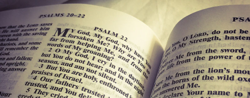 Close-up of an open Bible focused on the text of Psalm 22, displaying the verses against a softly lit background which highlights the words in a serene setting suitable for contemplation and study.