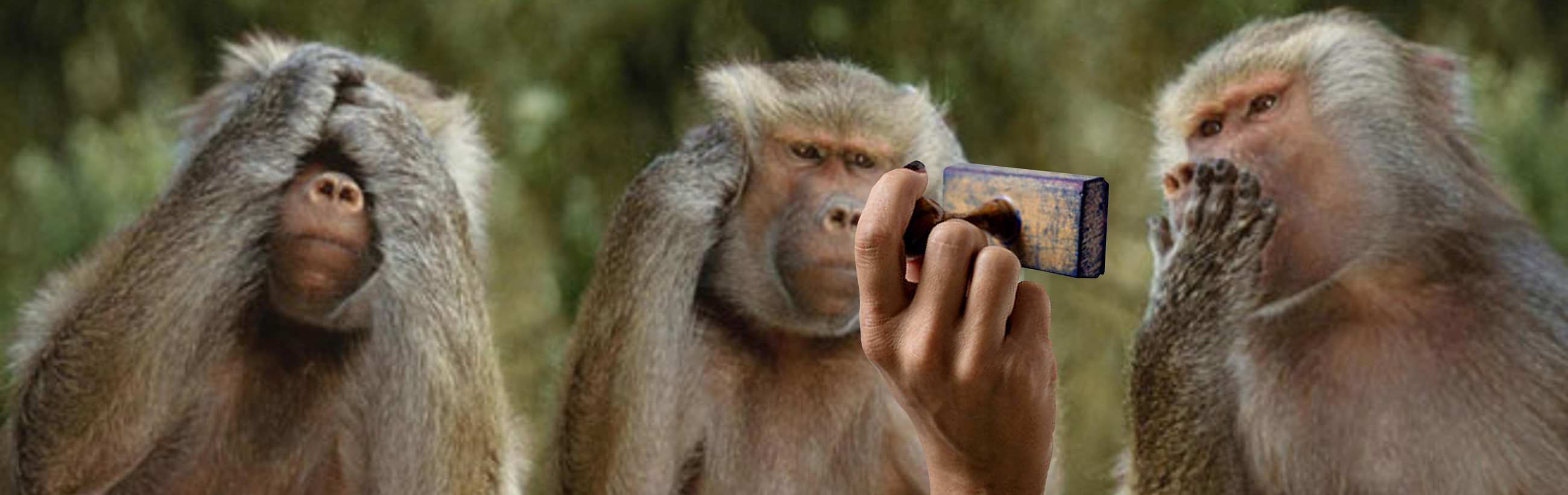 A series of three baboons showing various reactions to a cellphone held by a human hand in the center of the image. The first baboon appears contemplative, holding its chin, the second is observing the phone intently, and the third is covering its mouth with both hands, giving expressions of surprise.