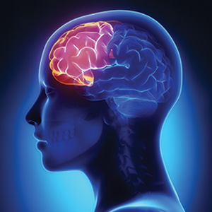 Illustration of a human head in profile with the brain highlighted in red, indicating cognitive processes, set against a dark blue background.