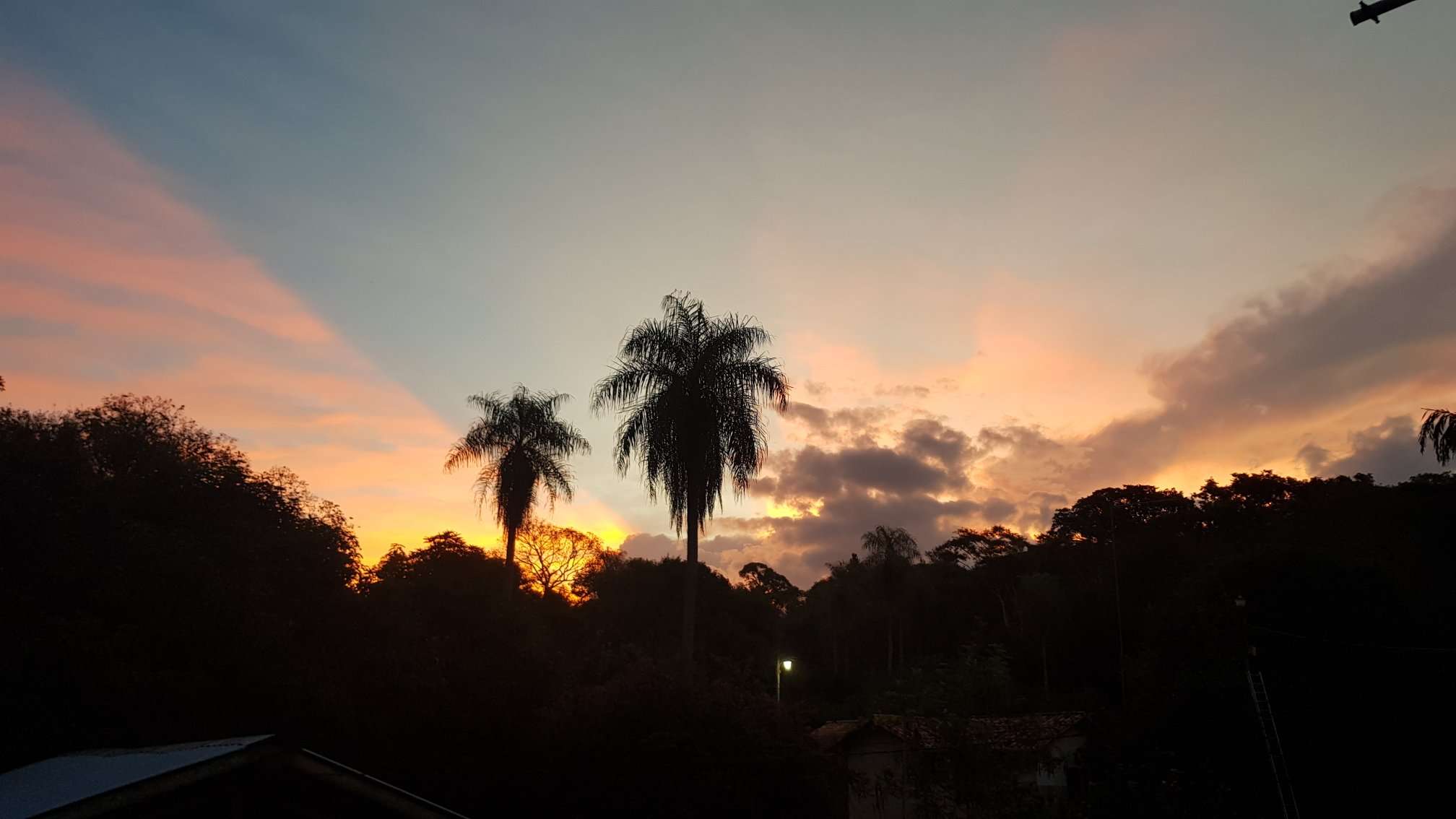 A serene twilight scene displaying the gradient of early evening sky with vivid orange near the horizon fading into deep blue; highlighted by silhouette outlines of palm trees against the glow of the descending sun, nestled among the silhouettes of other trees.