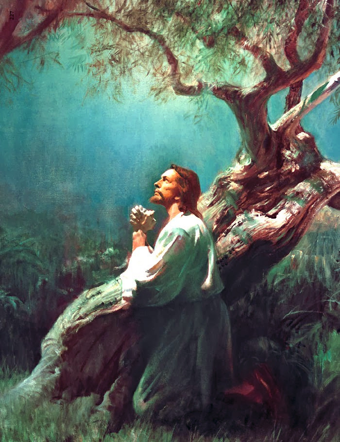A painting depicting a man in white and green clothing, kneeling and praying beneath an ancient tree amidst lush greenery. The serene expression on his face suggesting a moment of spiritual reflection beneath the heavens, under the whispered canopy of creation's splendor.
