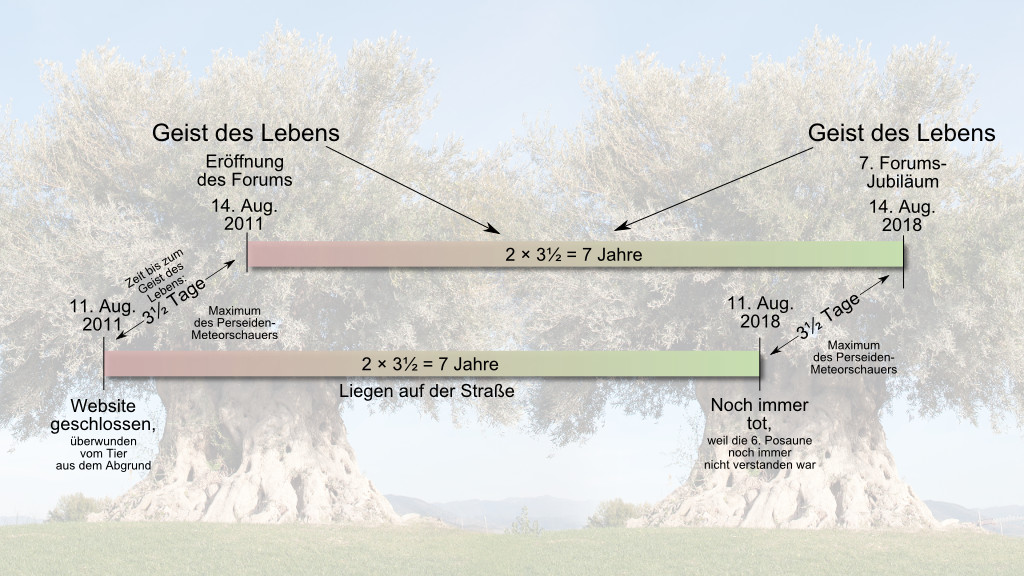 Informative Darstellung mit einem großen, lebendigen Baum im Hintergrund und strukturierten Zeitachsen vorne. Die Timeline zeigt bedeutende Ereignisse von 2011 bis 2018, einschließlich Eröffnungen und Jubiläen eines Forums, mit Hinweisen auf ein astronomisches Maximum, dargestellt als das Maximum des Perseiden-Meteorregens. Zusätzliche Anmerkungen über das Überwinden von Herausforderungen stehen ebenfalls im Bildtext.