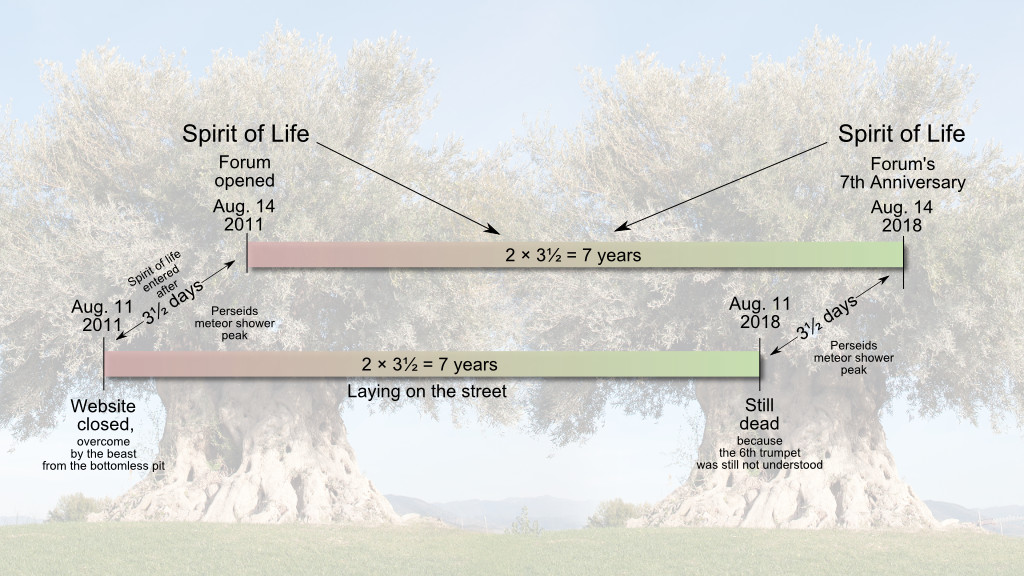An informational graphic depicting a timeline with significant events related to the "Spirit of Life Forum," mapped over the image of a giant, leafy tree in a misty landscape. Events include the opening of the forum on August 14, 2011, periodic milestone annotations such as a website closure, a period described as "Laying on the street," and the forum's seventh anniversary on August 14, 2018. Each event is connected by lines indicating a passage of time totaling seven years, with references to a recurring meteorological event occurring in early August across the years shown.