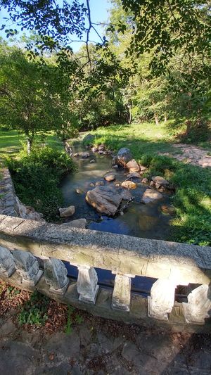 A serene stream flows through a lush park, bordered by a rustic stone railing. Sunlight filters through the thick canopy above, illuminating rocks and ripple patterns on the water's surface.