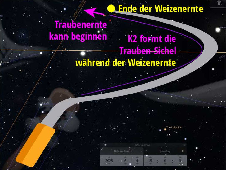 Astronomische Darstellung mit einer Nachthimmelsimulation, die einen Pfad aufzeigt, den ein Objekt namens K2 durchläuft. Dieser Weg bildet eine Sichel, die als "Trauben-Sichel" bezeichnet wird, markiert mit dem Ende der Weizenernte. Textbeschriftungen in Deutsch erläutern die Position und Bedeutung des Pfads im Zusammenhang mit der landwirtschaftlichen Erntezeit.