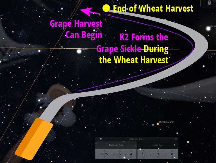 A digital astronomical map highlighting an astronomical phenomenon where a celestial body traces a path resembling a sickle through the cosmos at the conclusion of wheat harvest, indicating the time grape harvesting can commence.