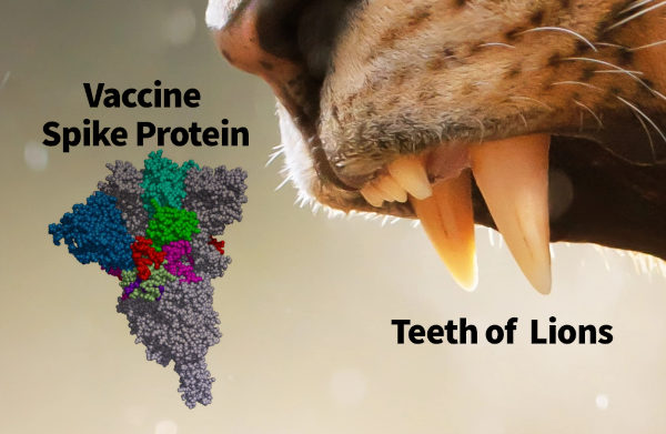 A close-up image showing the fierce teeth of a lion juxtaposed with a colorful molecular model labeled as a vaccine spike protein.