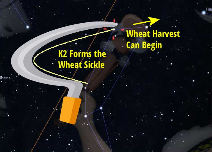 An illustrative depiction of a star grouping in the night sky, highlighted by lines and overlaid by an artistic representation of a wheat sickle. Text annotations indicate that the configuration marks the time for wheat harvest to commence.