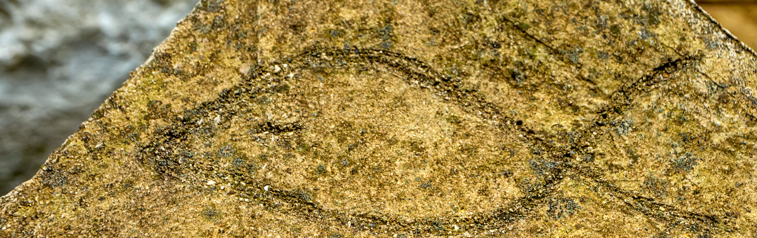 An aged stone slab features a lightly etched outline resembling a symbol from the Mazzaroth, set against a natural, granulated surface with a mottled array of earth tones.