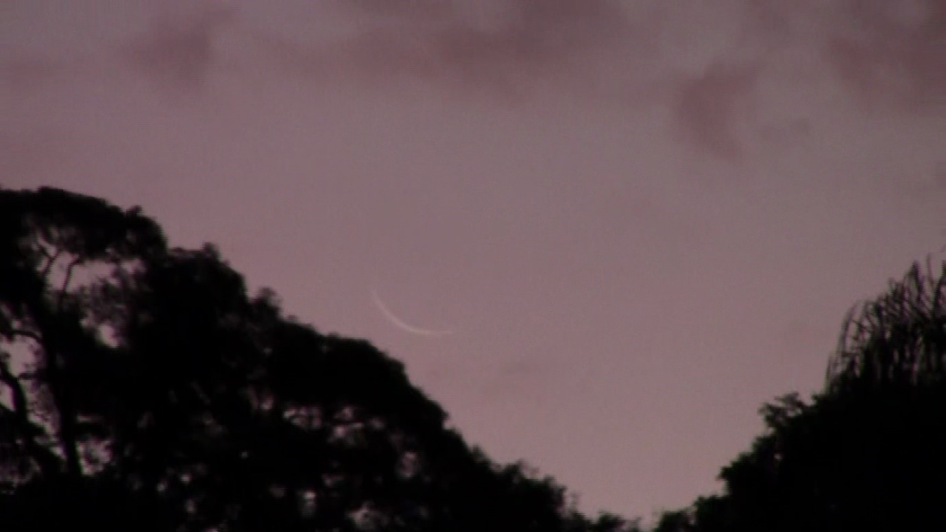 A crescent moon delicately visible in the dusk sky, framed by silhouetted treetops.