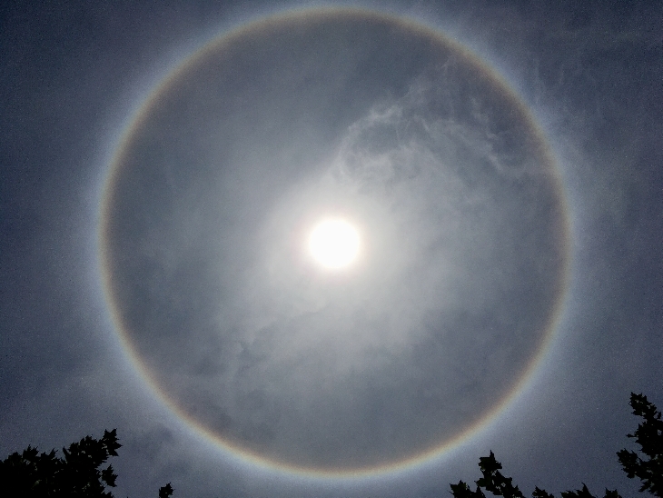 A striking view of the sun encircled by a large, luminous halo created by atmospheric ice crystals, with silhouettes of tree tops visible at the bottom.
