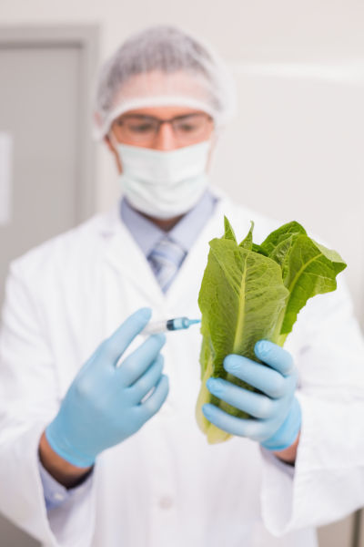 A scientist in a lab coat, gloves, mask, and hairnet injects a substance into a leafy green vegetable, analyzing its properties in a laboratory setting.