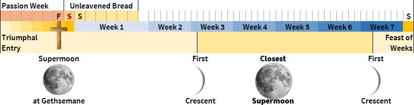 A timeline chart depicting significant celestial events alongside biblical feast days over seven weeks. It includes images of the moon at various stages: a full supermoon labeled "at Gethsemane," a crescent moon, and another supermoon labeled "Closest." Key events from the biblical calendar, such as the "Passion Week," "Unleavened Bread," and the "Feast of Weeks" are marked along the timeline.