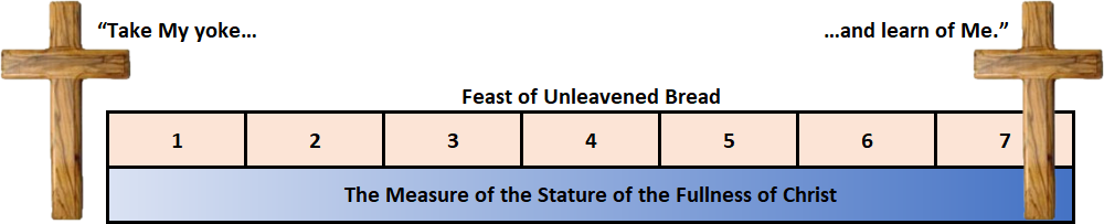 A graphical representation showing a timeline marked with numbers 1 through 7 for the Feast of Unleavened Bread, flanked by two wooden crosses with inscriptions reading "Take My yoke..." on the left and "...and learn of Me." on the right. Below the timeline, a phrase reads "The Measure of the Stature of the Fullness of Christ."