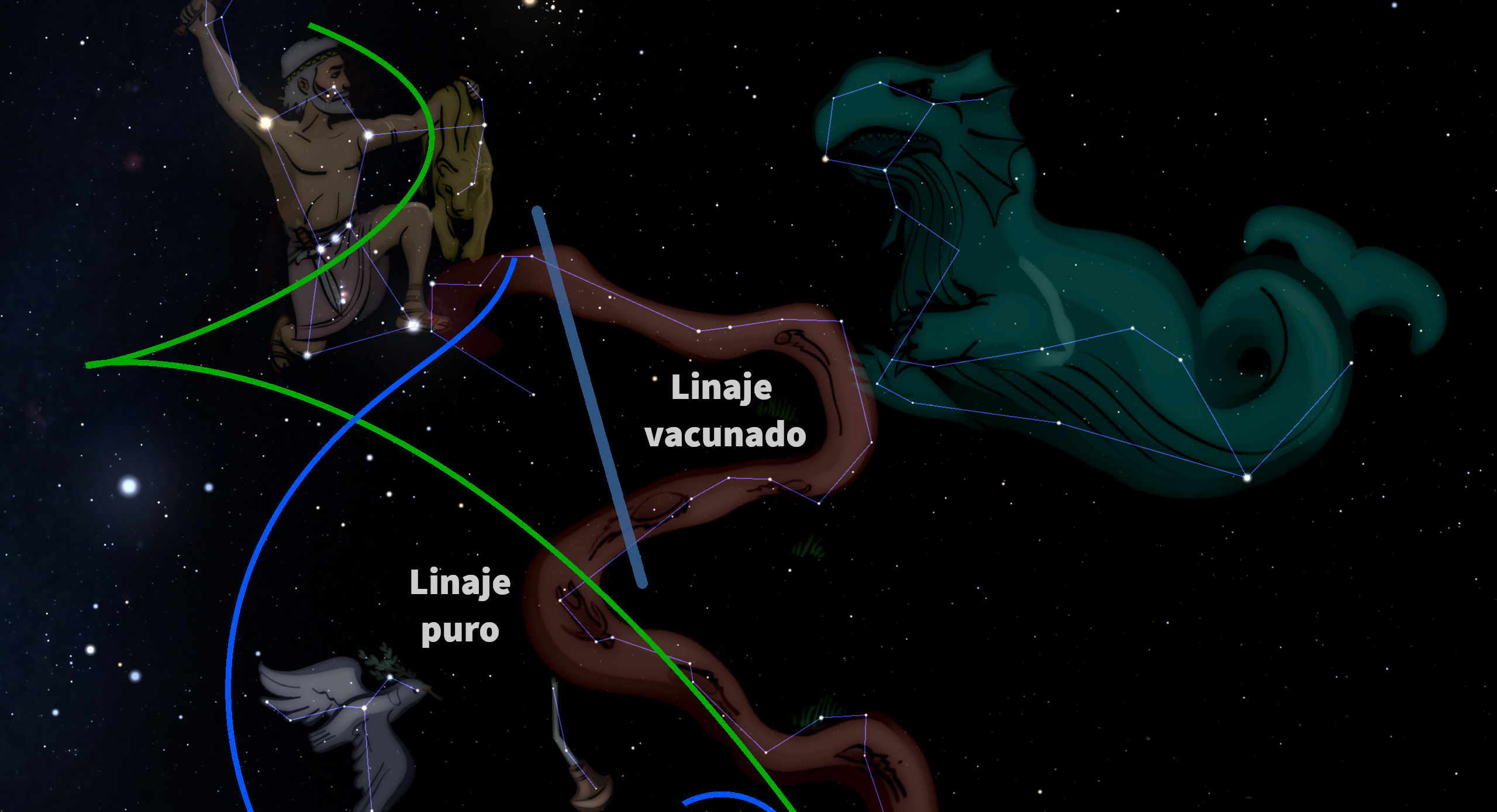 Ilustración digital de dos figuras celestiales del Mazzaroth. A la izquierda, un arquero humanoide con brazo extendido y a la derecha un ser acuático grande y curvo. Ambos están superpuestos sobre líneas que conectan estrellas formando sus contornos, con rótulos que dicen "Linaje puro" y "Linaje vacunado" superpuestos en curvas de colores que cruzan la imagen.