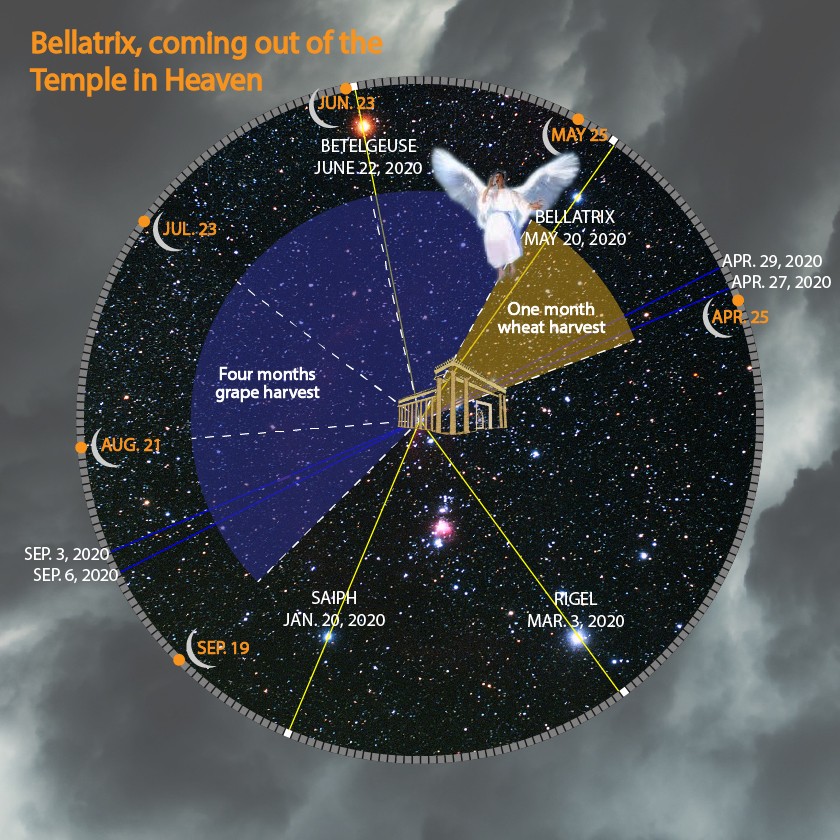 An artistic astronomical depiction showing a figure emerging from a golden temple set against a star-filled sky, symbolizing a celestial event. The background features a circular chart with constellation names and specific dates, including markers for "Betelgeuse", "Bellatrix", and others, with outlined paths connecting these. Overlaying annotations describe the event durations, such as "One month wheat harvest" and "Four months grape harvest".