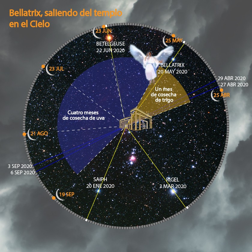 Diagrama celestial que presenta un mapa circular del cielo nocturno centrado alrededor de un templo dorado con indicadores que apuntan a varias estrellas brillantes como Betelgeuse, Bellatrix, Saiph y Rigel. Las anotaciones incluyen fechas y eventos relacionados con los ciclos agrícolas del Mazzaroth. Una figura angelical se cierne cerca de la sección central, simbolizando una transición o un evento significativo en los cielos.