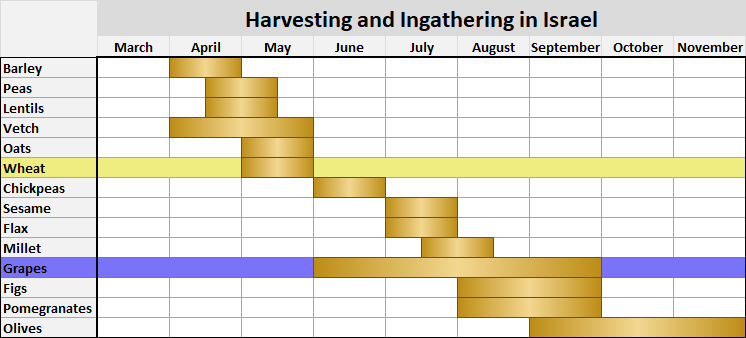 A color-coded table titled "Harvesting and Ingathering in Israel" displaying various agricultural products such as Barley, Peas, Lentils, Wheat, and Olives and the months March through November. Each product's harvest season is indicated in shades of gold and purple in corresponding monthly columns.