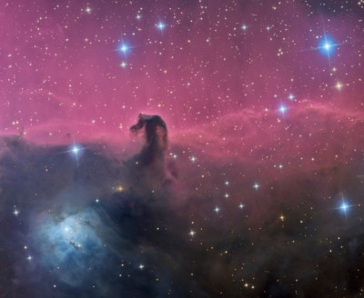 A vibrant celestial scene depicting an array of stars embedded within a nebulous structure in hues of pink and blue. A distinct silhouette resembling a horse head is visible against the cosmic backdrop, emphasizing the majesty of the universe.