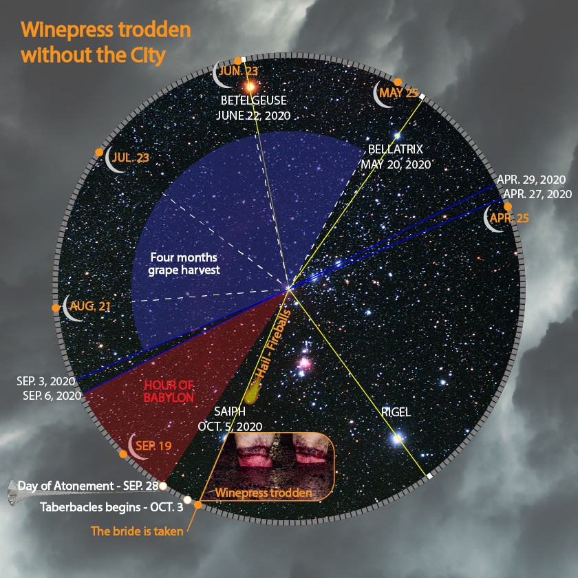A circular diagram depicting various cosmological events overlaid on a star-filled sky background. Notable stars like Betelgeuse, Bellatrix, Saiph, and Rigel are marked with dates beside them. The circle is divided into sectors indicating periods such as 'Four months grape harvest' and key dates related to the 'Hour of Babylon'. The edge of the diagram has scripture-referenced phrases like 'Winepress trodden without the city.' The segments are connected by lines, suggesting celestial alignments on specific dates.