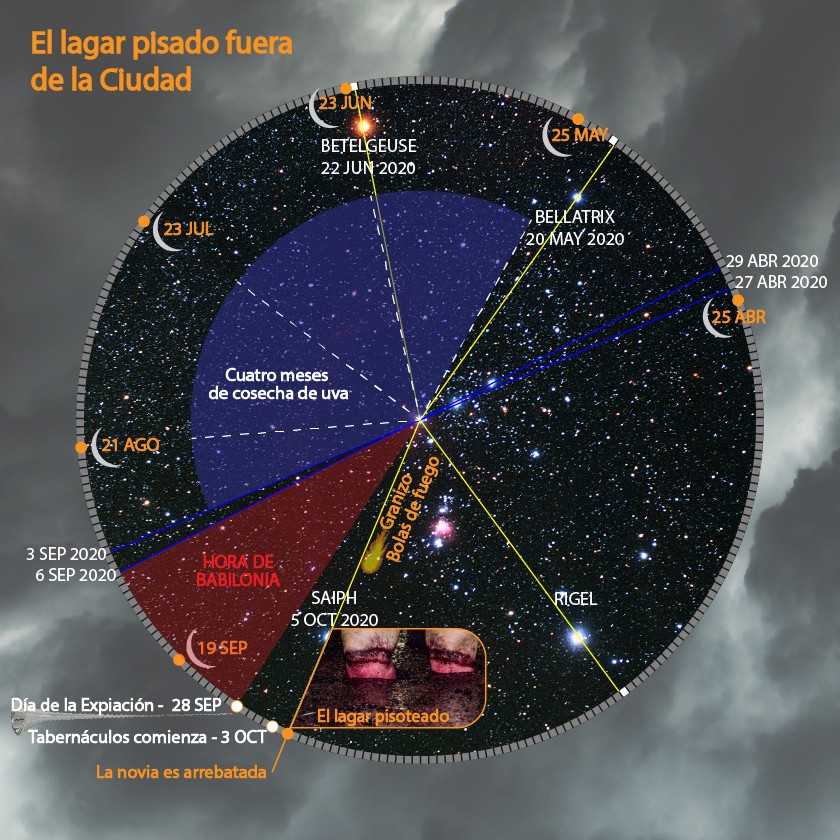 Un mapa celeste detallado que ilustra las posiciones de estrellas importantes como Betelgeuse, Bellatrix, Saiph y Rigel, identificadas por fechas en 2020. El mapa está dividido en zonas, resaltadas en azul y morado, con anotaciones en español que incluyen fechas de eventos como el Día de la Expiación y marcadores de período como los Cuatro meses de cosecha de uva. Se incluyen notas adicionales que incluyen eventos y fechas con referencias bíblicas relacionadas con la cosecha y los tiempos astronómicos.