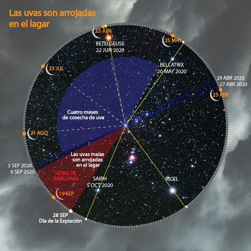 Una carta celeste detallada que representa el cielo nocturno, marcada con estrellas notables específicas, como Betelgeuse, Bellatrix, Saiph y Rigel. La carta presenta segmentos en varios colores que representan diferentes períodos y eventos, como una vendimia de cuatro meses. Frases en español sobre temas agrícolas se superponen al contenido astronómico, alineando los movimientos celestes con las cronologías terrestres tradicionales.
