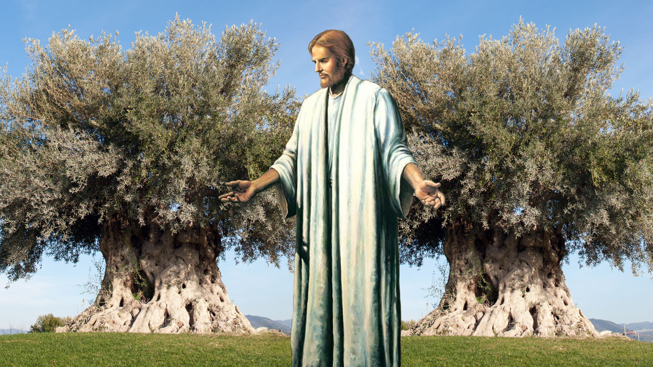 A serene landscape featuring a man in a light blue robe standing between two large, ancient olive trees with an expansive blue sky above and a rolling grassy meadow beneath.