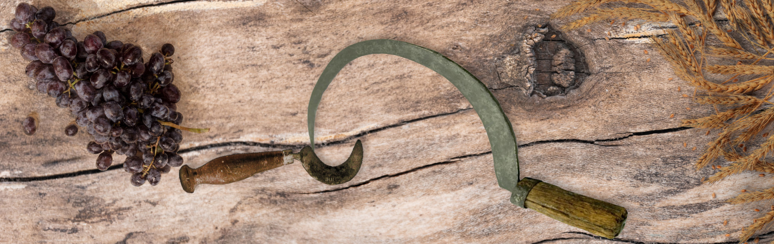 An overhead view of a rustic wooden surface featuring a cluster of dark grapes on the left, a vintage sickle horizontally aligned in the center with wooden handles on both ends, and wheat stalks partially scattered towards the right side.